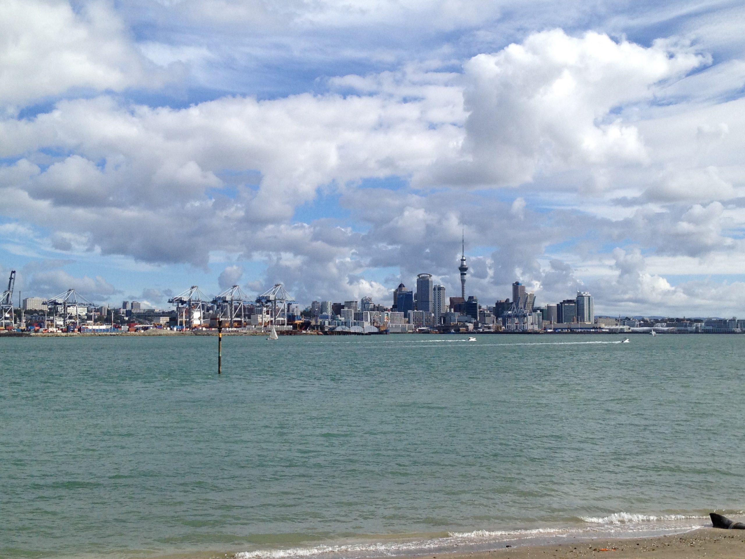 Day 11 – Paihia to Auckland