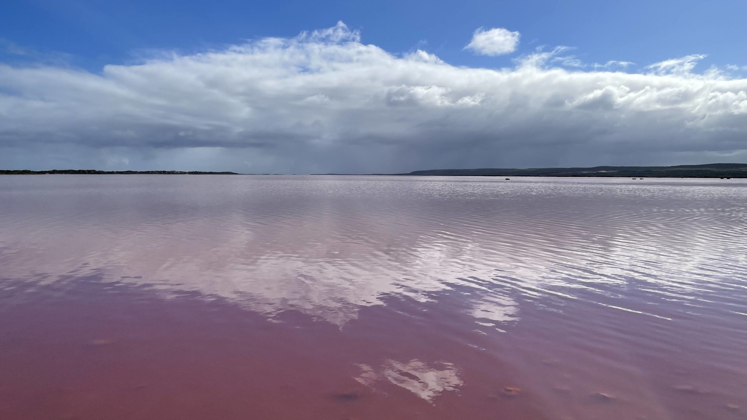 Day 3 – Geraldton to Hutt Lagoon and back to Cervantes