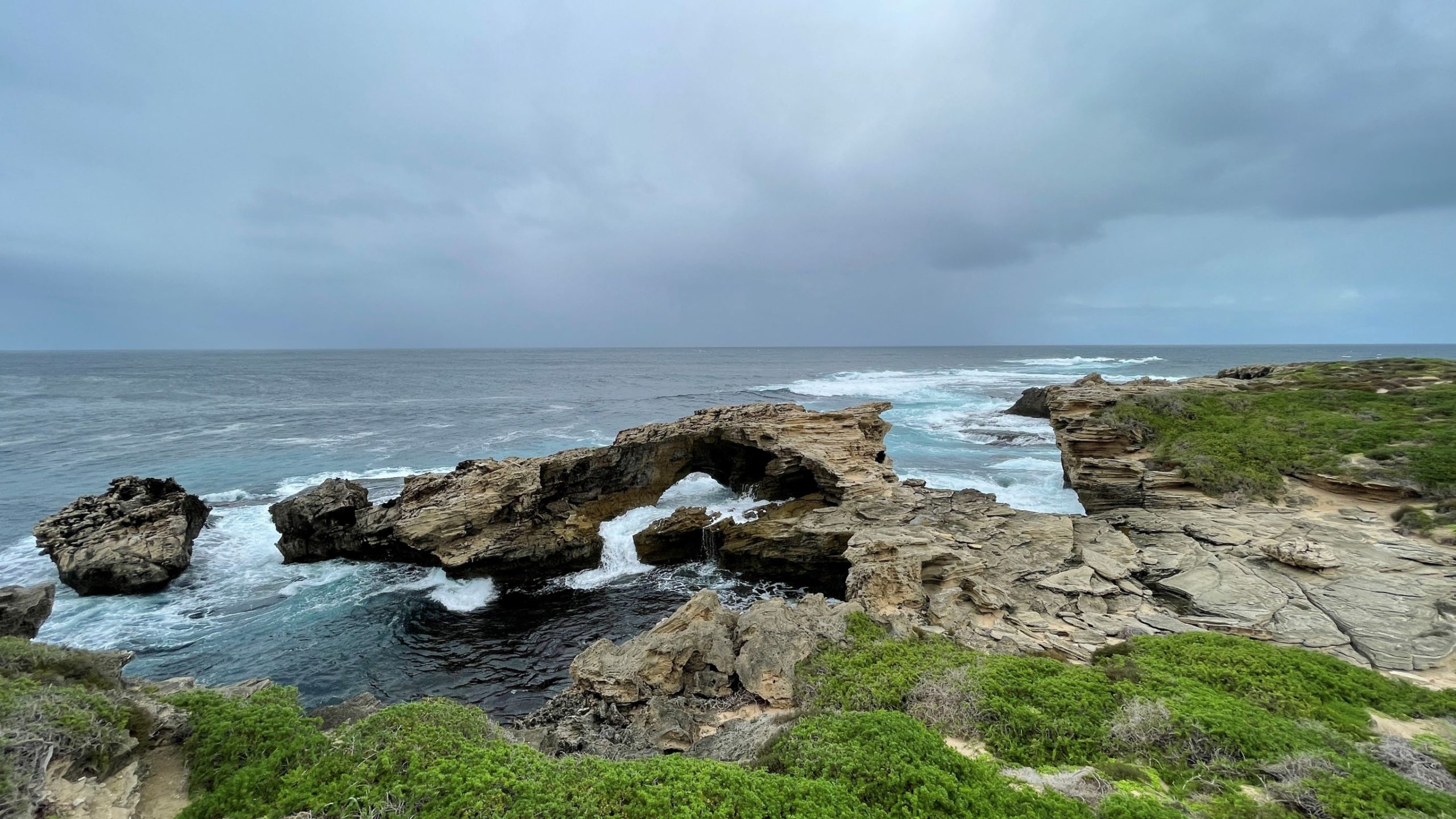 Day 5 – Rottnest island