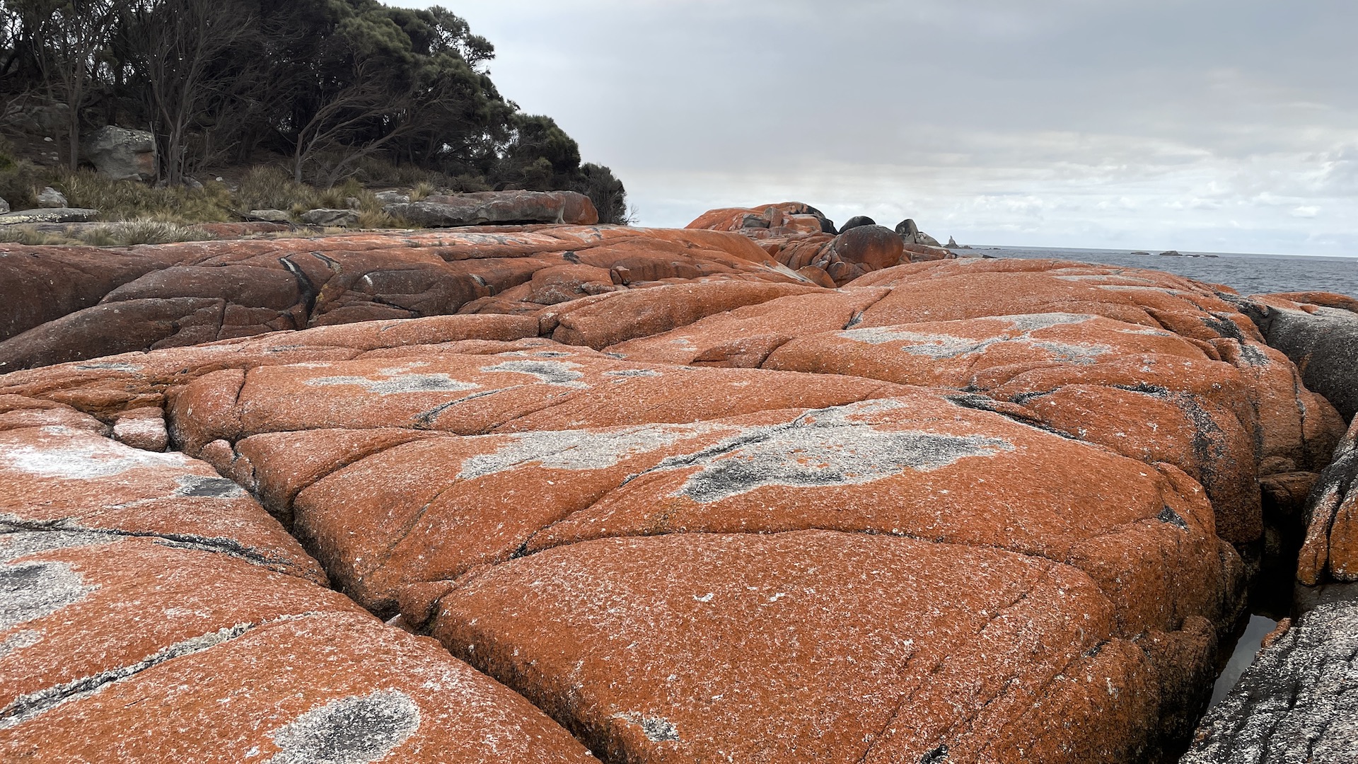 Day 5 – Launceston to St Helens to Hobart